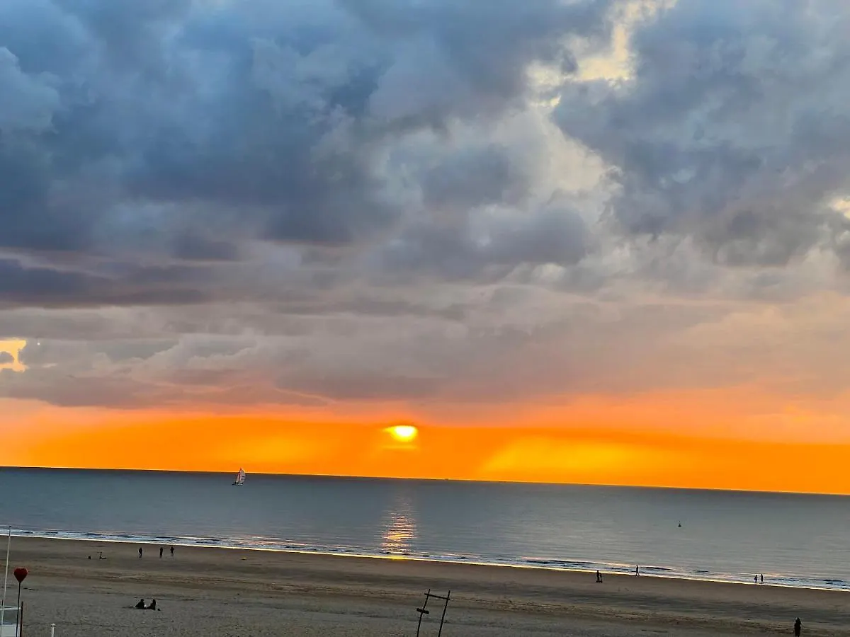 Appartement Cosy Studio Testerep , Newly Renovated Oostende